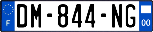 DM-844-NG