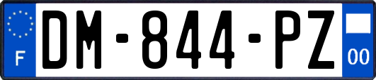 DM-844-PZ