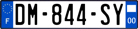 DM-844-SY