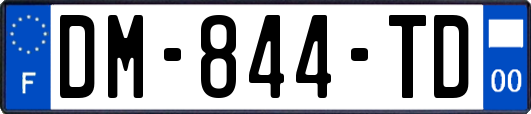 DM-844-TD