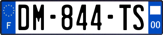 DM-844-TS