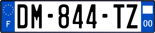 DM-844-TZ