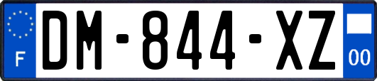 DM-844-XZ