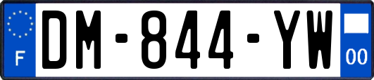 DM-844-YW