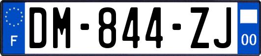 DM-844-ZJ