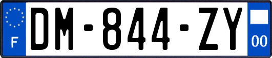 DM-844-ZY