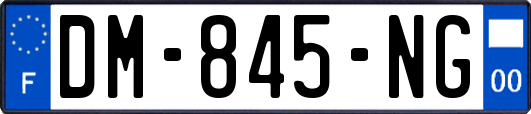 DM-845-NG