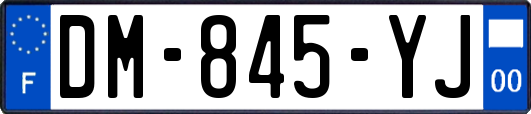 DM-845-YJ