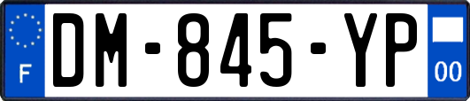 DM-845-YP