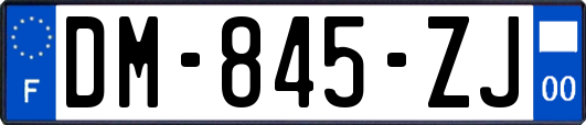 DM-845-ZJ