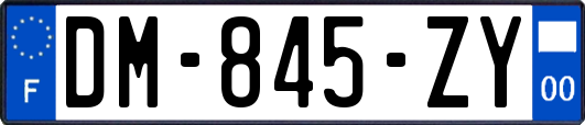 DM-845-ZY