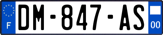 DM-847-AS