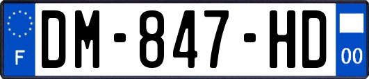 DM-847-HD