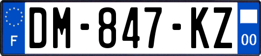 DM-847-KZ