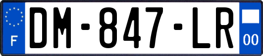 DM-847-LR