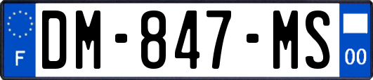 DM-847-MS