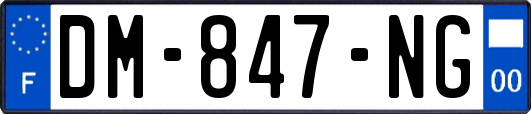 DM-847-NG