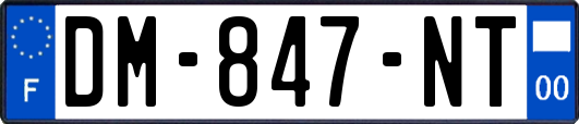DM-847-NT