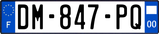DM-847-PQ