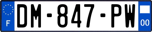 DM-847-PW
