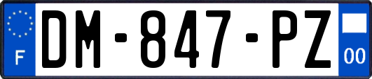 DM-847-PZ