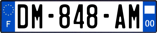 DM-848-AM