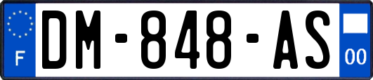 DM-848-AS