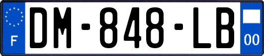 DM-848-LB