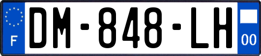 DM-848-LH