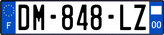 DM-848-LZ
