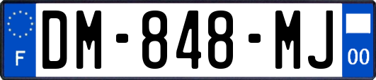 DM-848-MJ