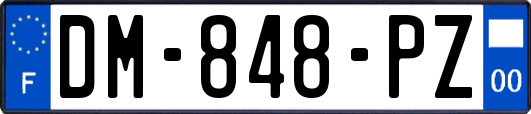DM-848-PZ