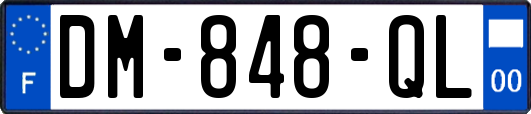 DM-848-QL