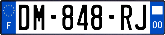 DM-848-RJ