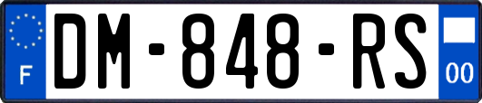 DM-848-RS