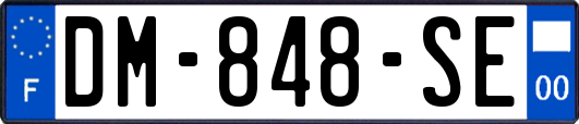 DM-848-SE