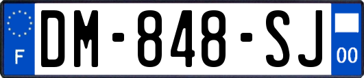 DM-848-SJ