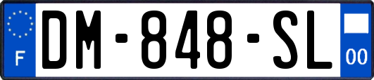DM-848-SL