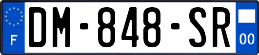 DM-848-SR