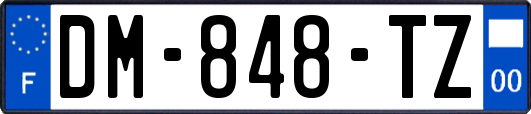 DM-848-TZ