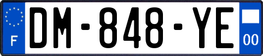 DM-848-YE