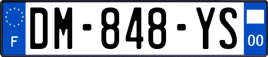 DM-848-YS