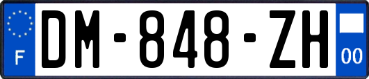 DM-848-ZH