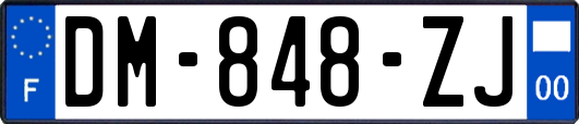 DM-848-ZJ