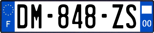 DM-848-ZS