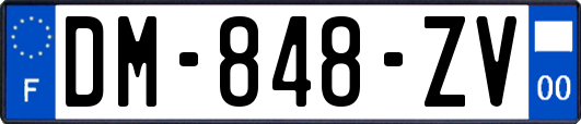 DM-848-ZV