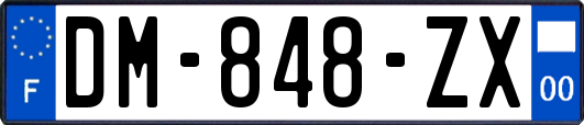 DM-848-ZX