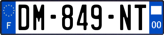 DM-849-NT