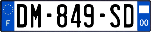 DM-849-SD
