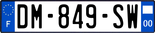 DM-849-SW